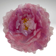 Lade das Bild in den Galerie-Viewer, Pfingstrose Papierblüte rosa