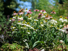 Lade das Bild in den Galerie-Viewer, Auszeit-Tag für Frauen „Von Wurzeln zur Blüte“ 29.05.2027 Samstag