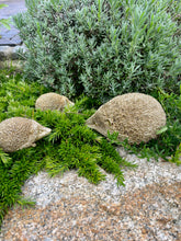 Lade das Bild in den Galerie-Viewer, Igel - Familie