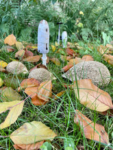 Lade das Bild in den Galerie-Viewer, Igel - Familie