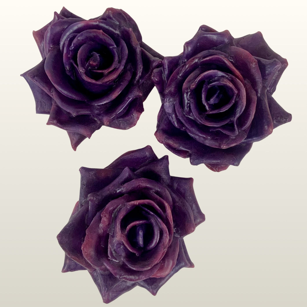 Wachsrose Violett 3 Stück
