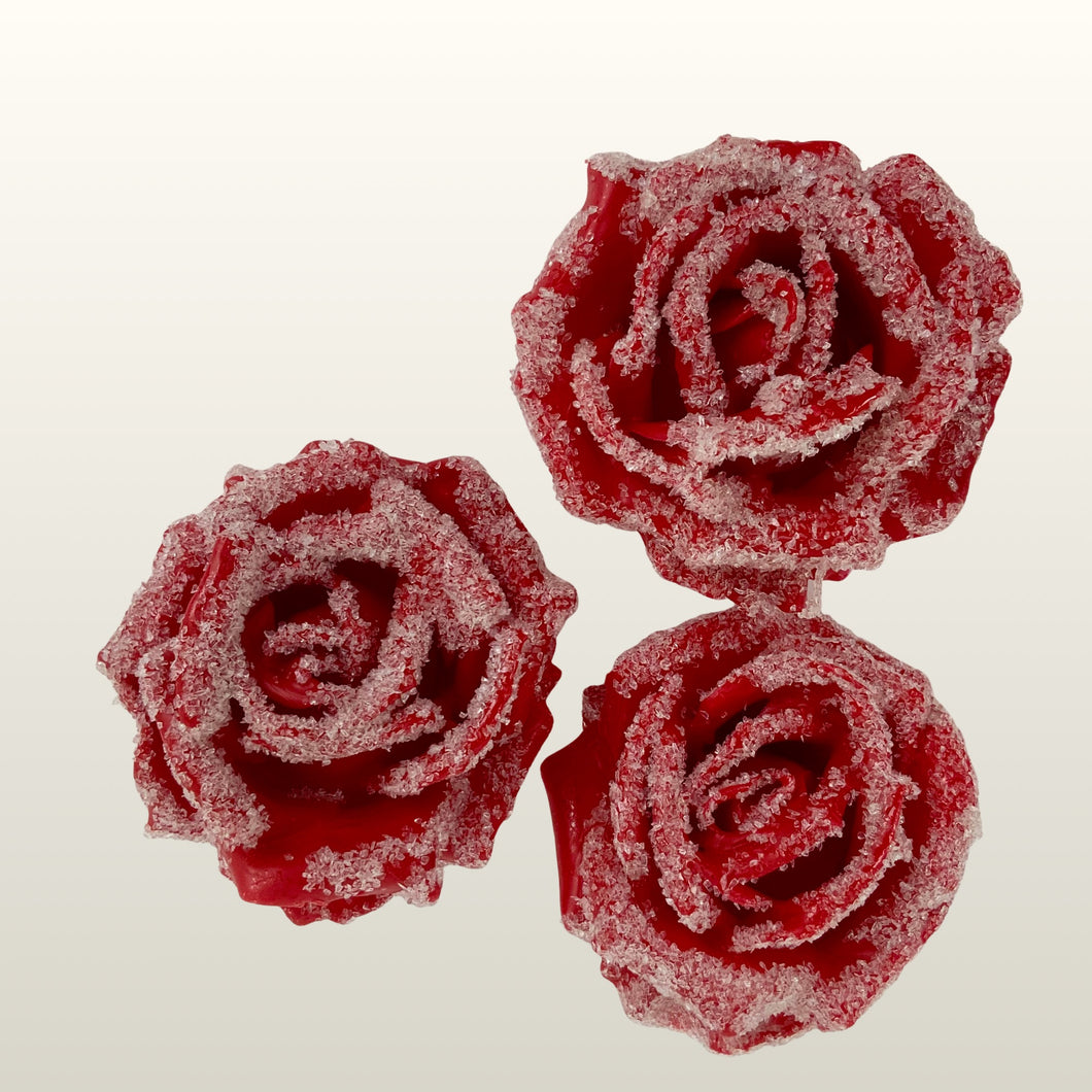 Wachsrose rot, geeist,  3 Stück