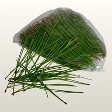 Lade das Bild in den Galerie-Viewer, Pinien - Nadeln 500 Gramm
